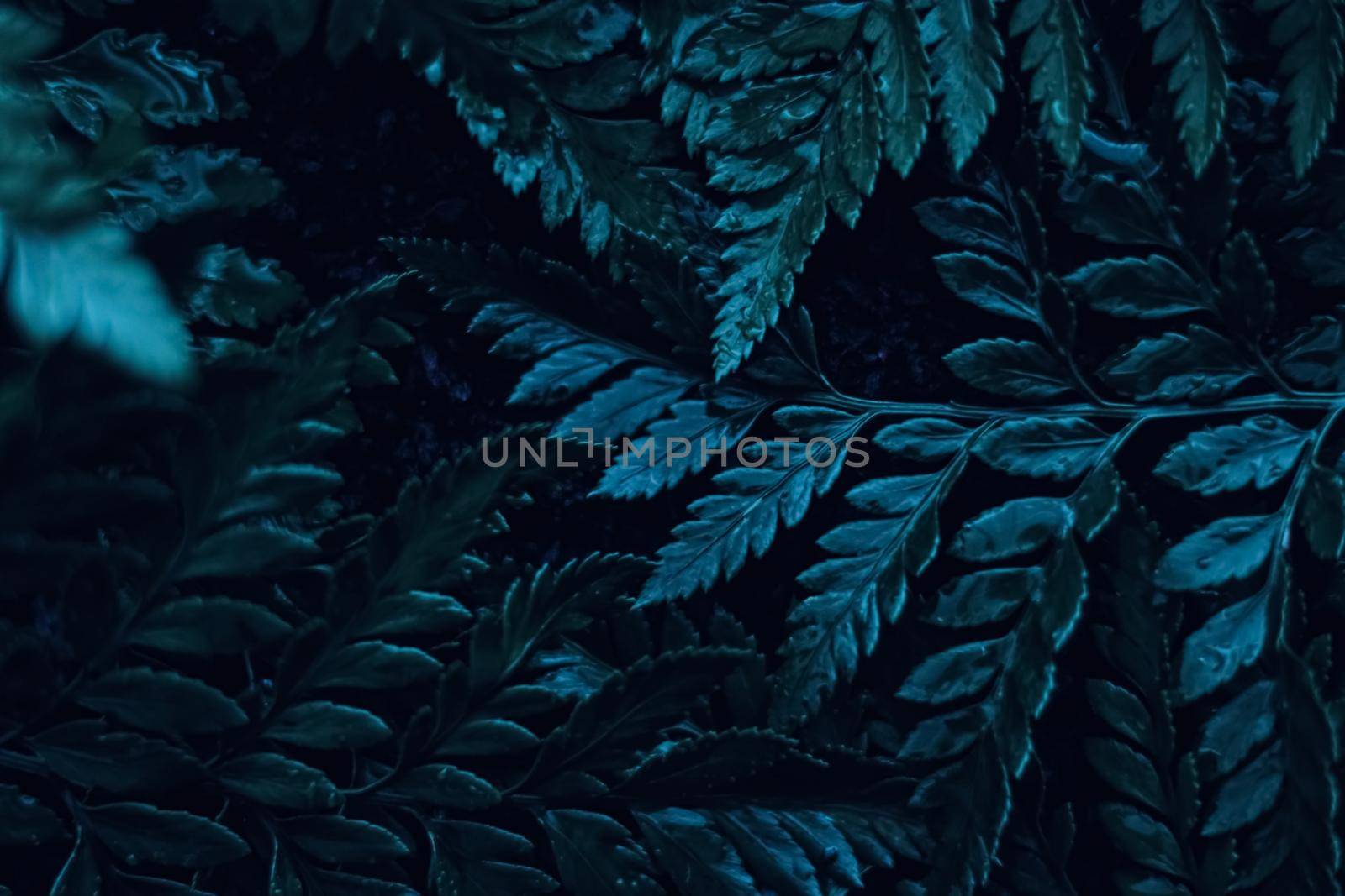 Blue plant leaves at night as surreal botanical background, minimal design by Anneleven