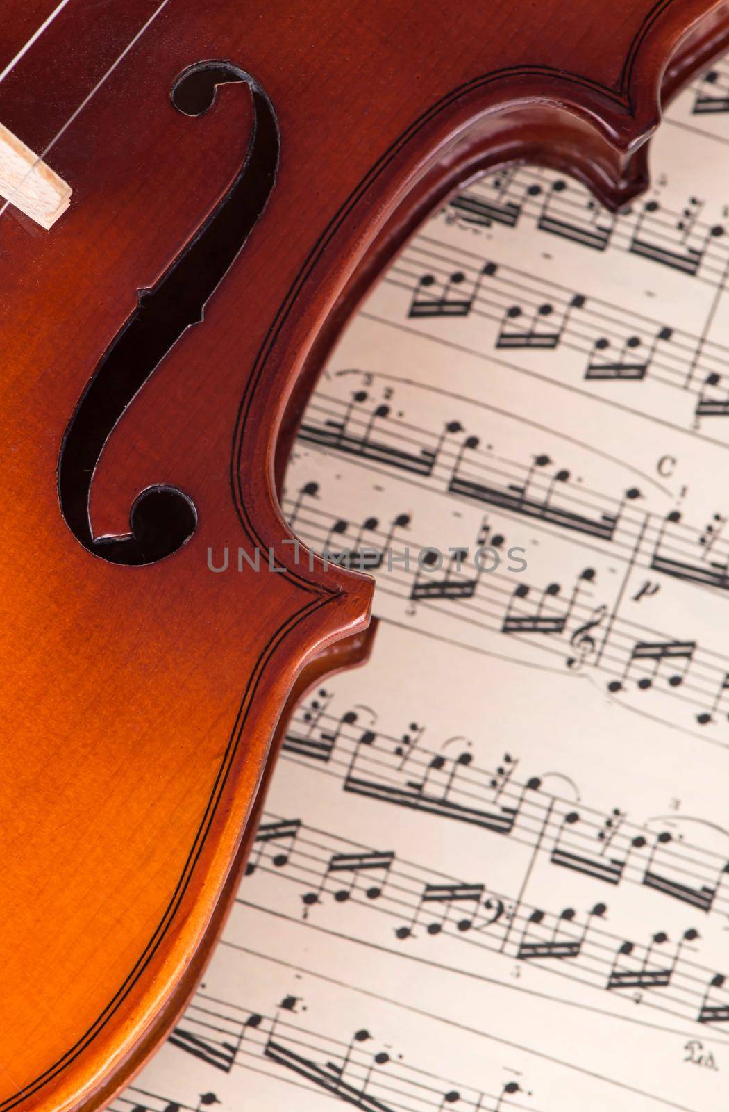 Old violin lying on the sheet of music, music concept.