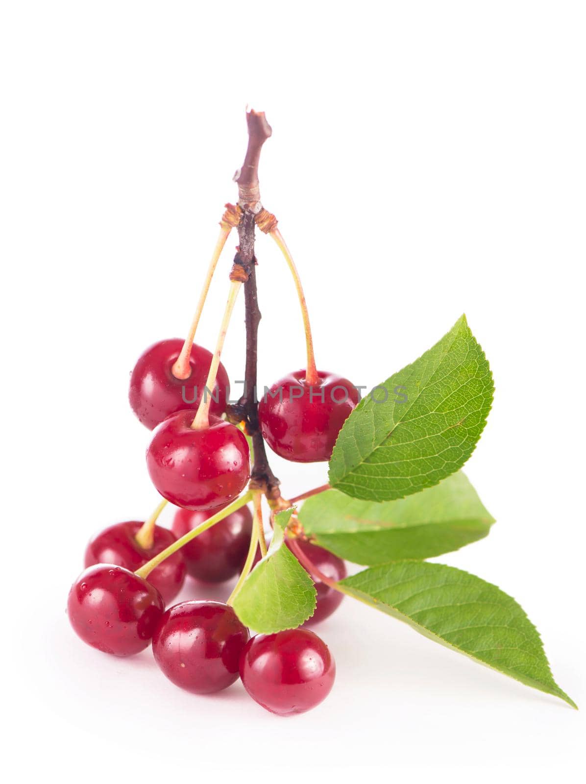 Ripe fresh red cherry isolated on white background. by aprilphoto