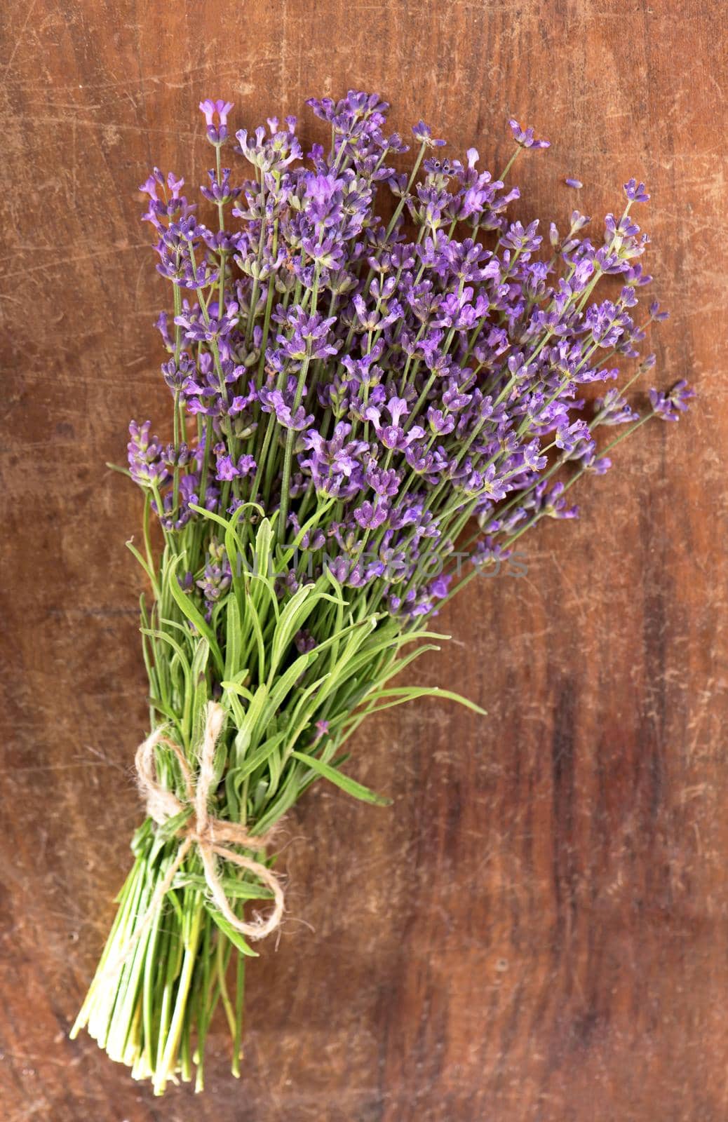 Branch of a lavenderon a wooden table by aprilphoto