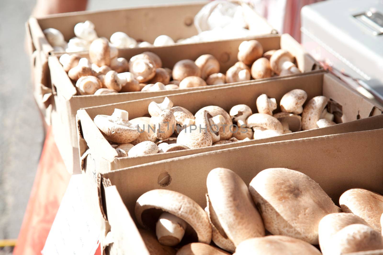  Brown mushrooms in boxes at a market ready to be bought 