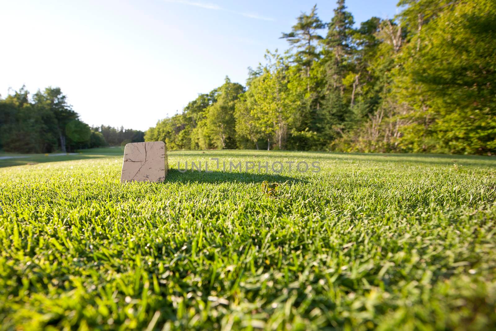  A tee box on the golf course with copy space in the grass 