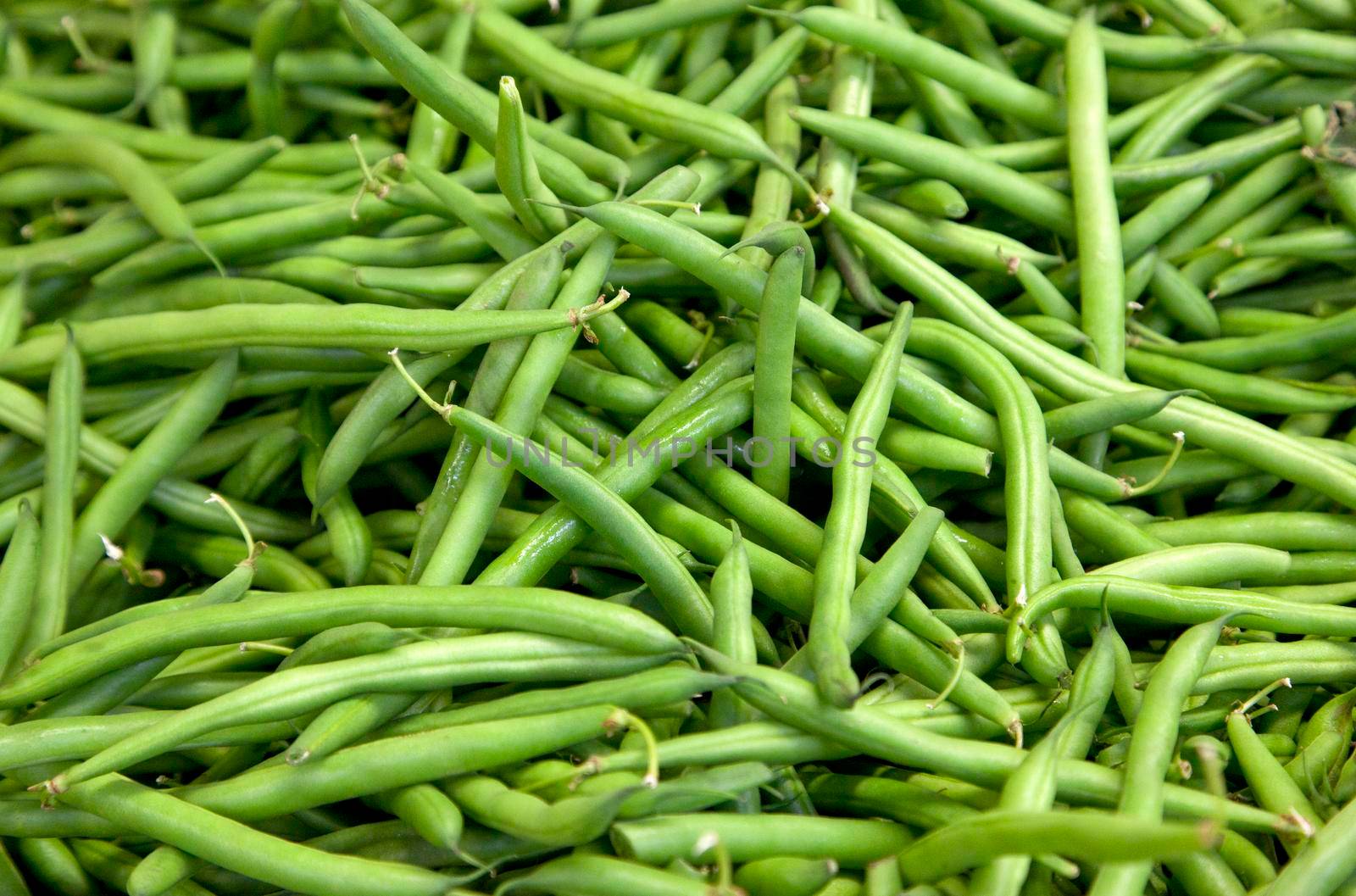  a bunch of green waxy string beings at a market