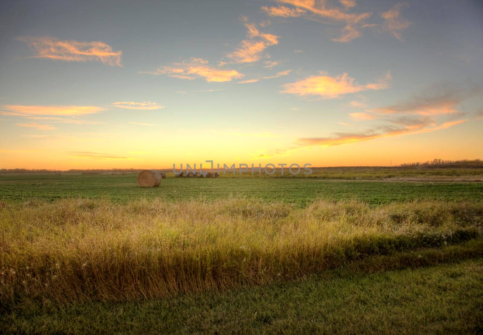 sunset on prairie field by rustycanuck
