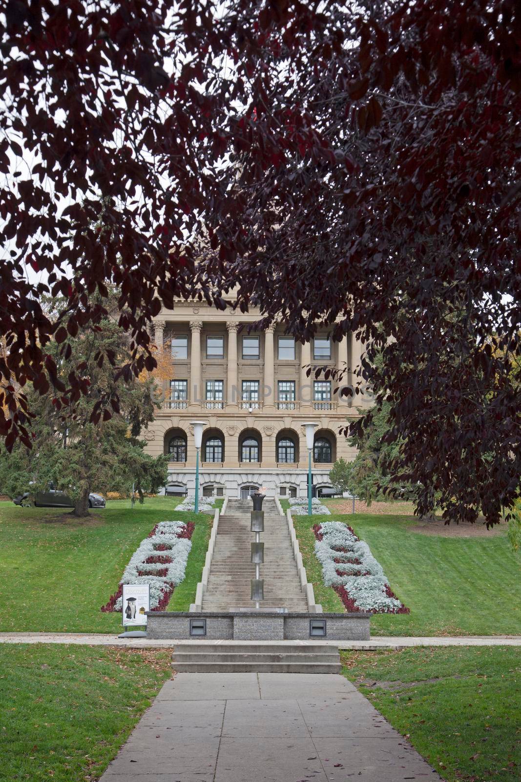  the edmonton legislature building framed by maple trees