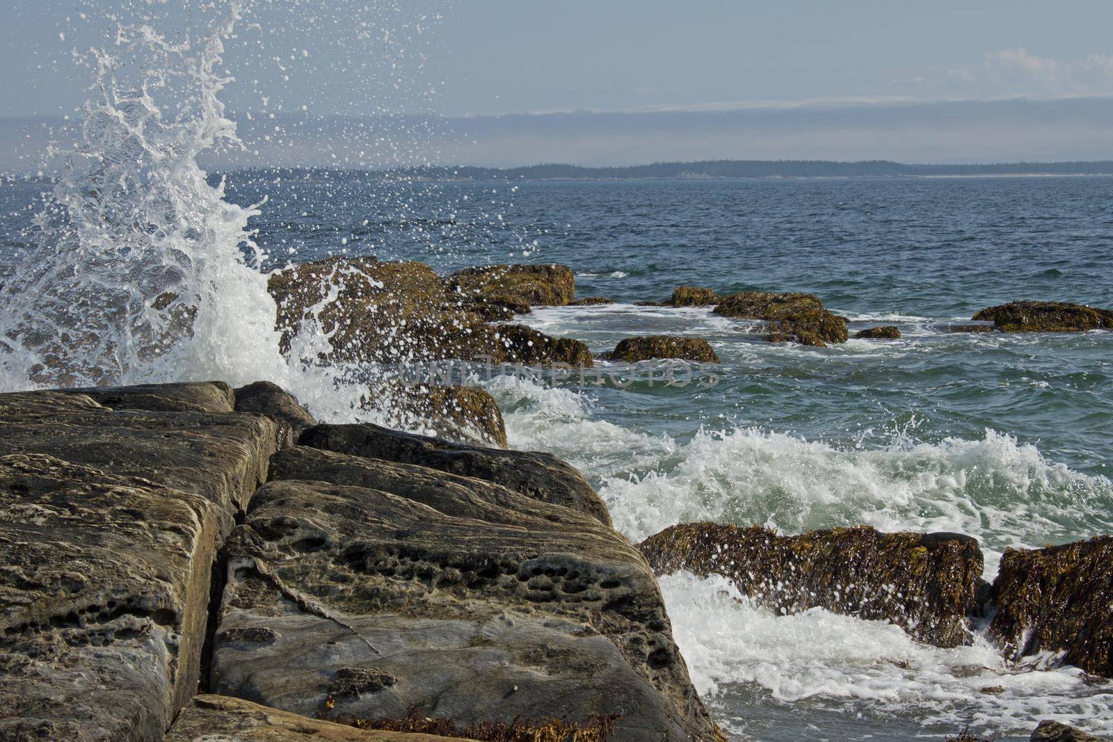  ocean spray and surf pounds against rocks on the coast
