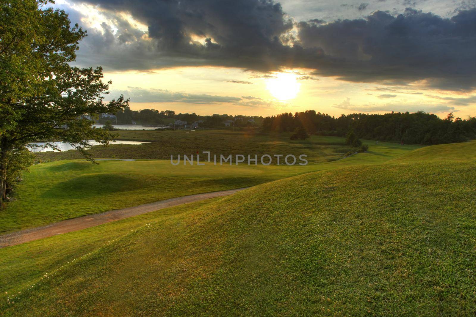 Golf course fairway at sunset on the green 