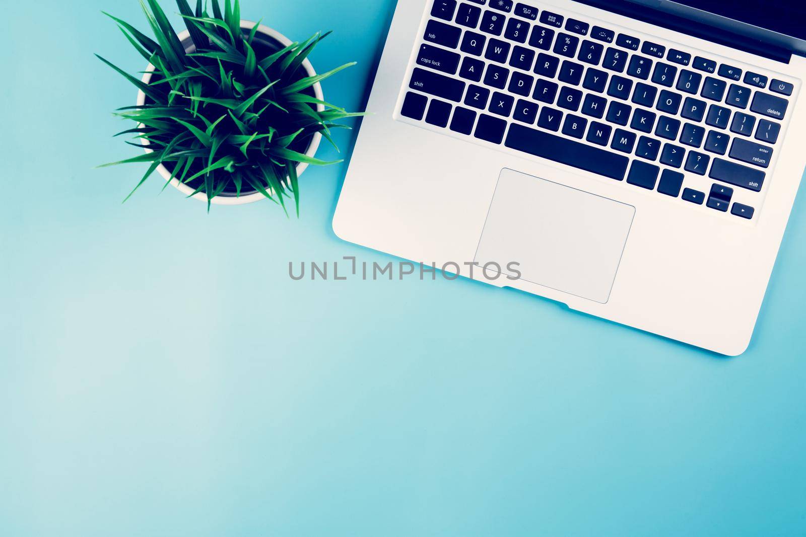 Flat lay of Laptop computer and plant on desk in office, workplace and notebook and keyboard and potted tree, workspace and copy space, top view, object with above, nobody, business concept.