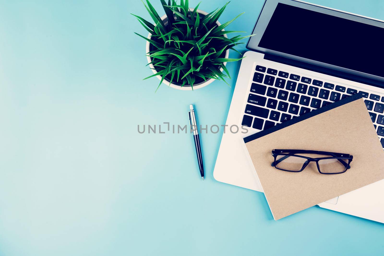Flat lay of Laptop computer and plant and pen on desk in office, workplace and notebook and glasses and potted tree and book, workspace and copy space, top view, object with above, business concept. by nnudoo