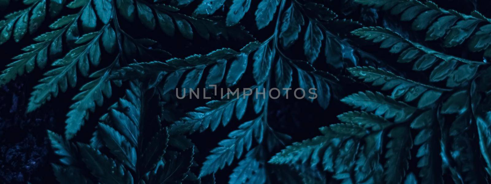 Blue plant leaves at night as surreal botanical background, minimal design backdrop