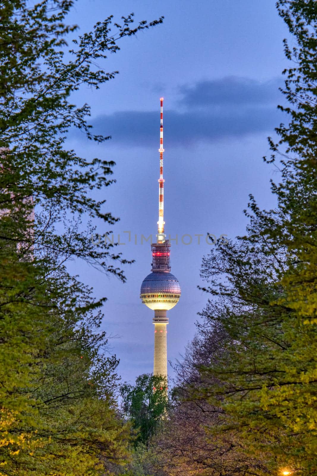 The famous TV Tower in Berlin at night seen through some trees