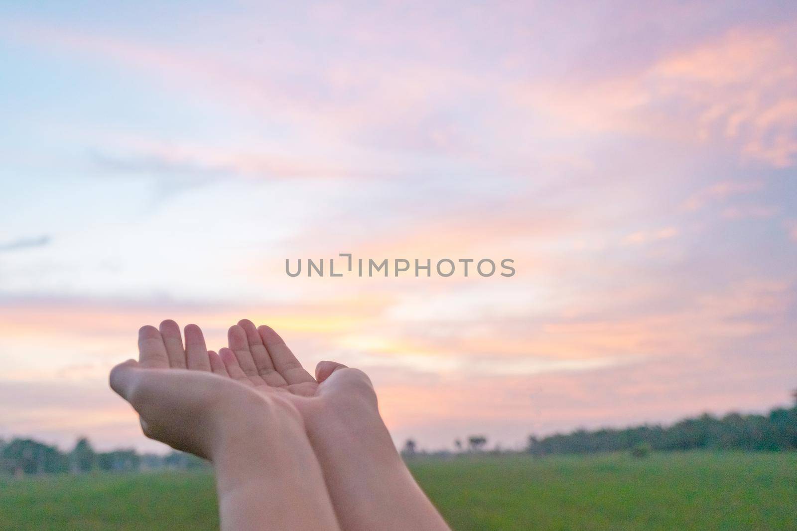 Woman hands place together like praying in front of nature green bokeh and blue sky background.
