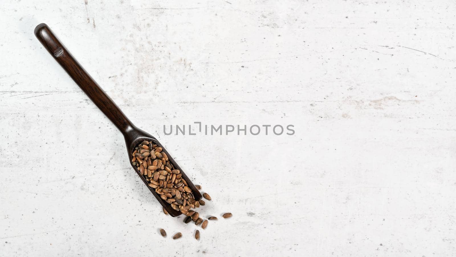 Blessed milk thistle seeds - Silybum marianum - in small wooden spoon on white stone like board, view from above, space for text right side.