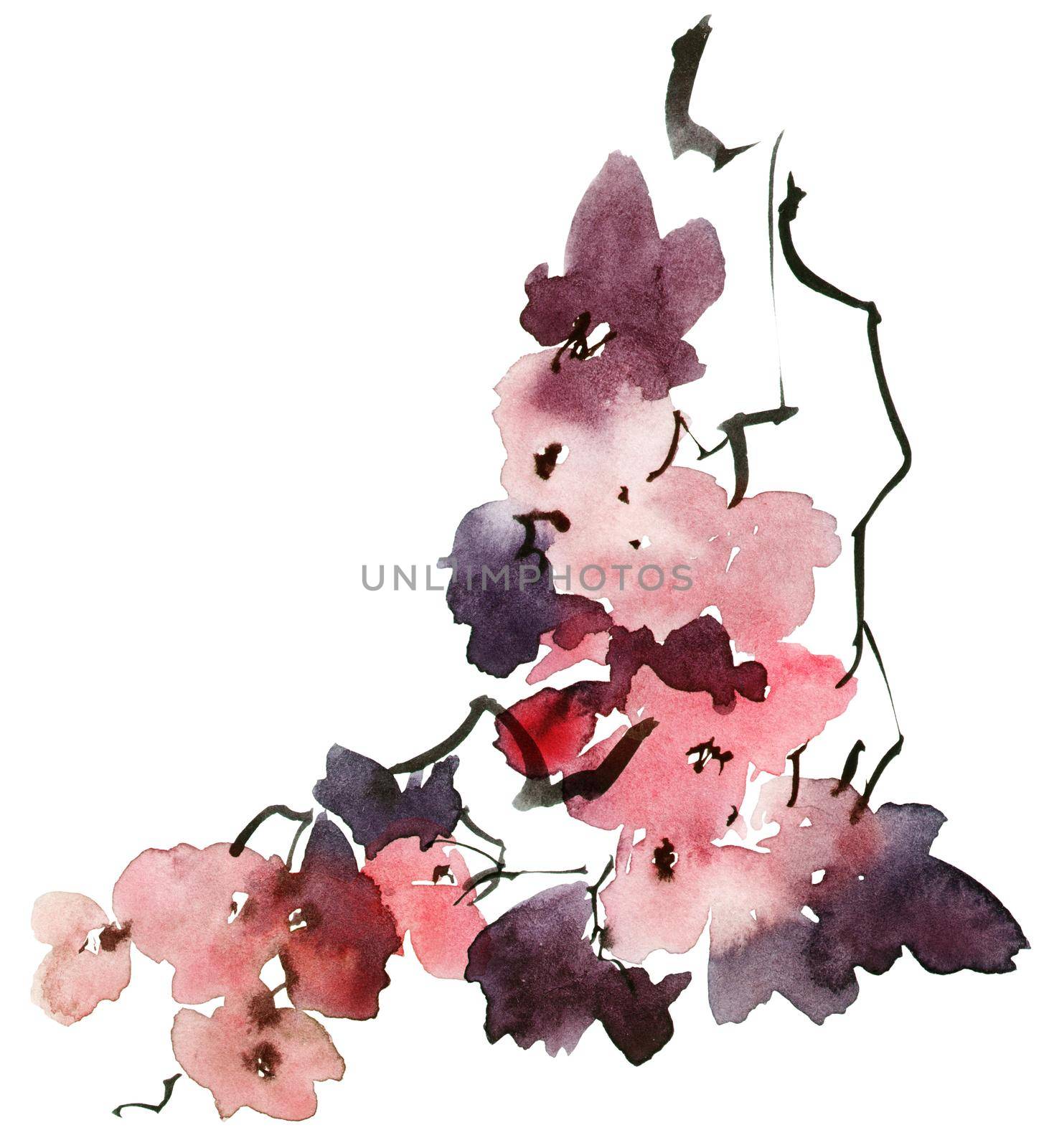 Watercolor and ink illustration of tree branch in bloom - flowers, buds and leaves. Oriental traditional painting in style sumi-e, u-sin and gohua.