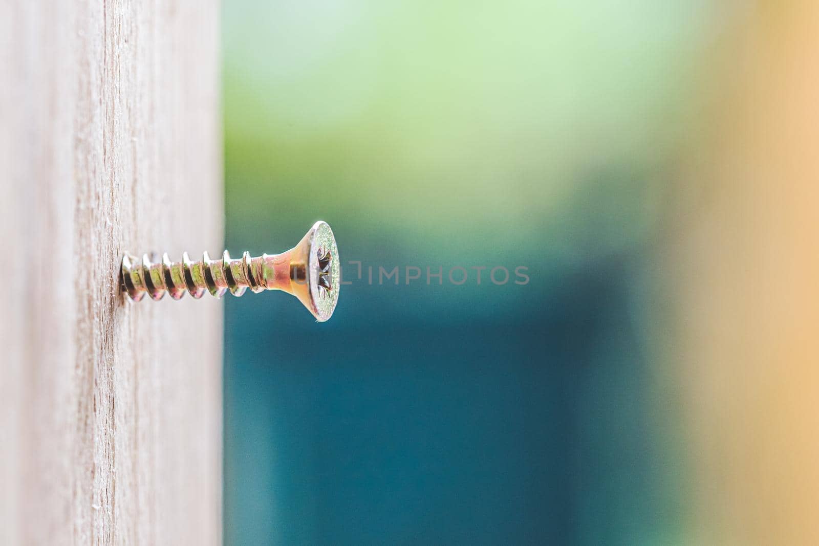 Macro closeup of screw in timber, outdoors