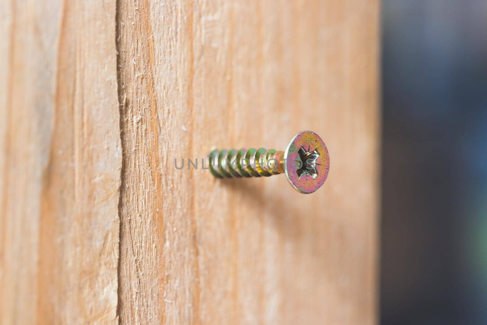 Macro closeup of screw in timber, outdoors