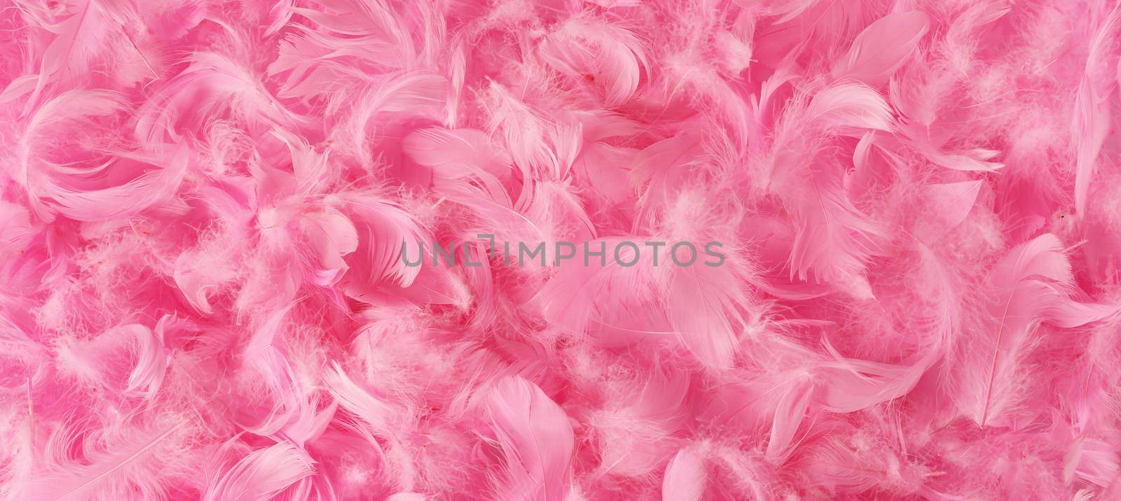 beautiful pink feathers. by NelliPolk