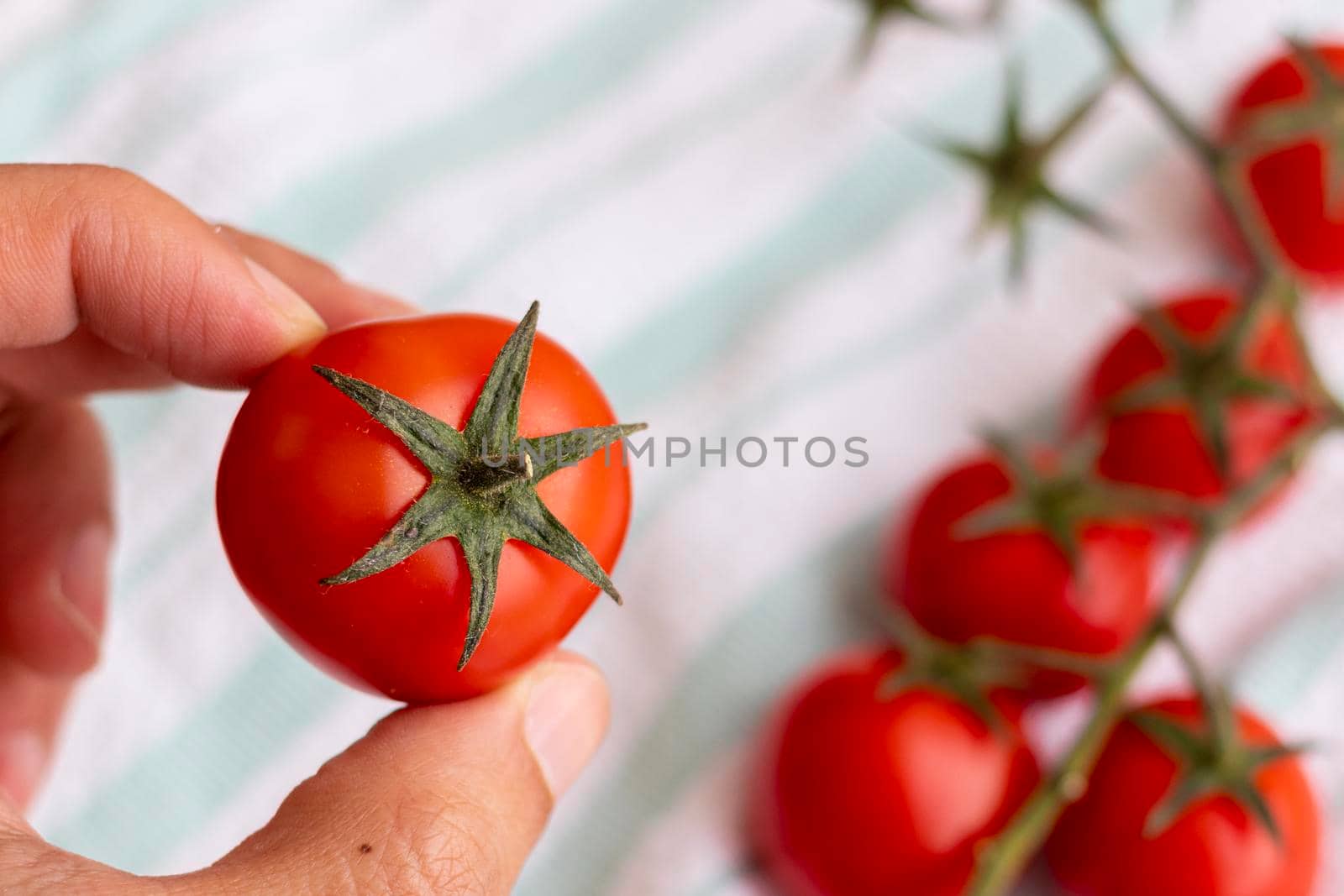 Hands holding cherries tomatoes