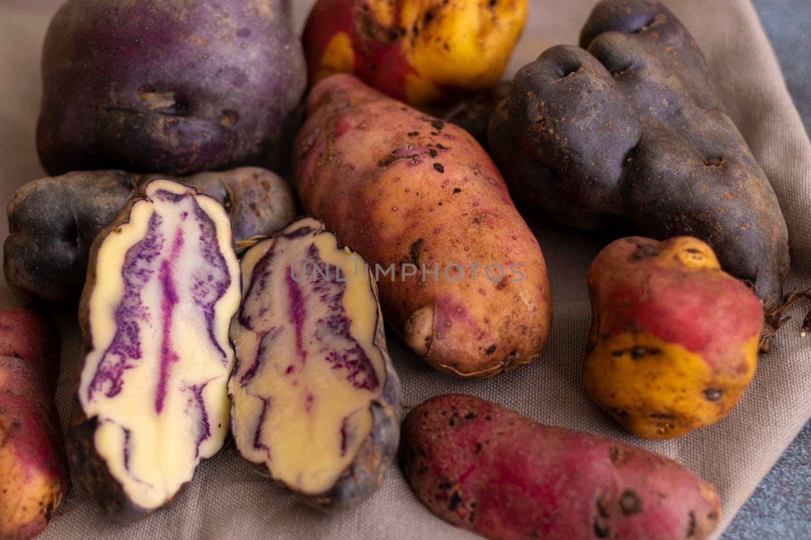 Peruvian native potatoes, harvested in Cusco, Peru by eagg13