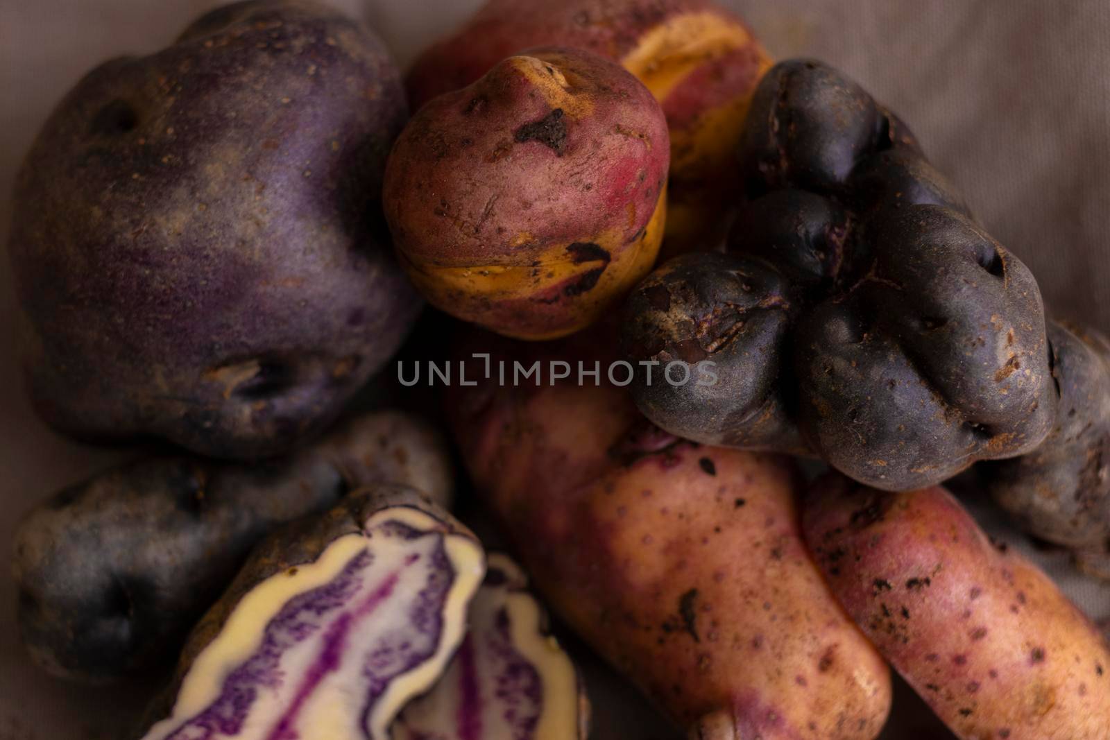 Peruvian native potatoes, harvested in Cusco, Peru