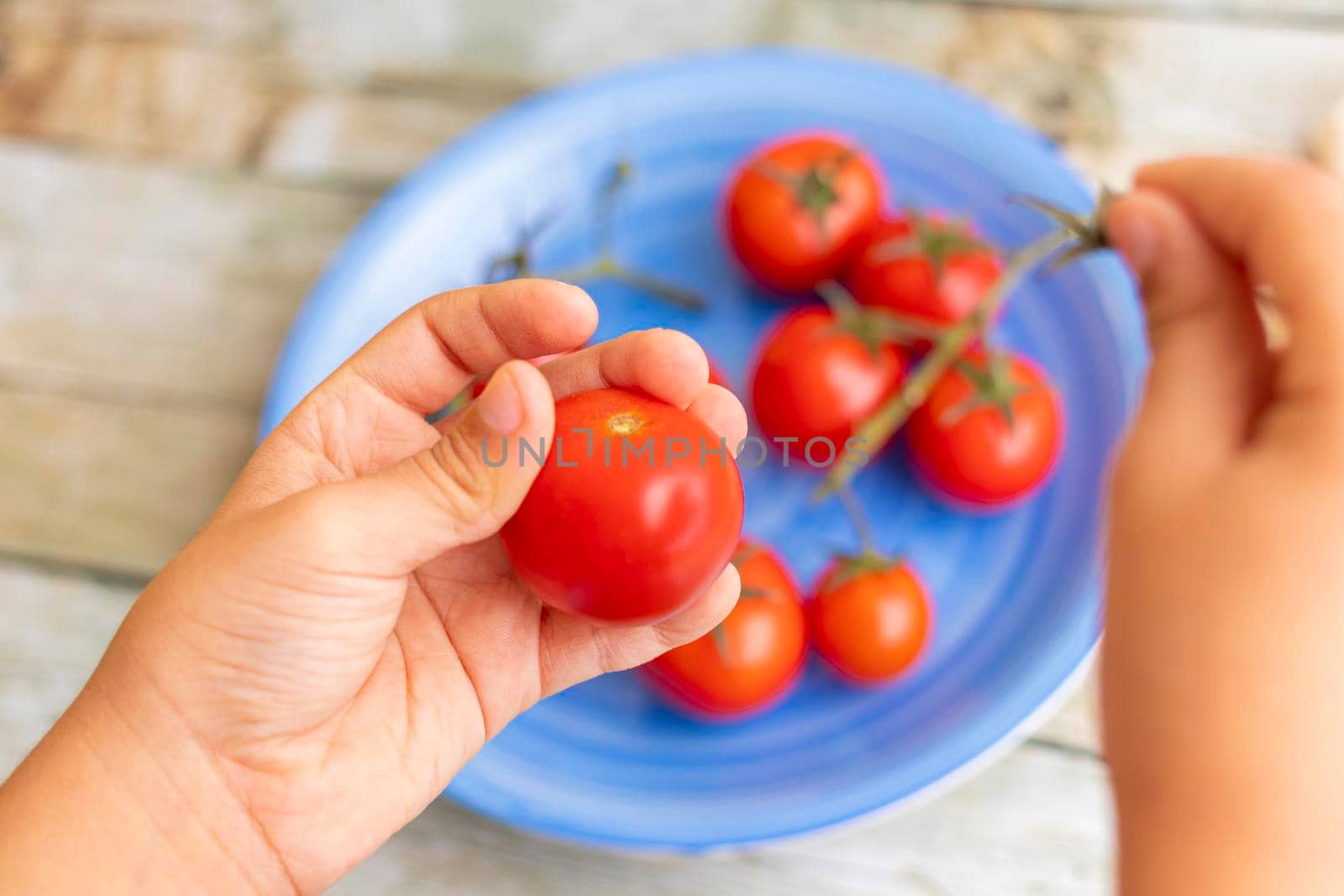 Hands holding cherries tomatoes