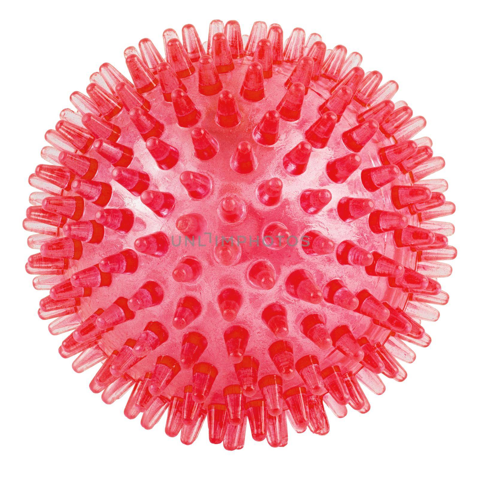 transparent red spiked plastic ball isolated on white background - massager, dog toy and COVID-19 coronavirus symbol and model