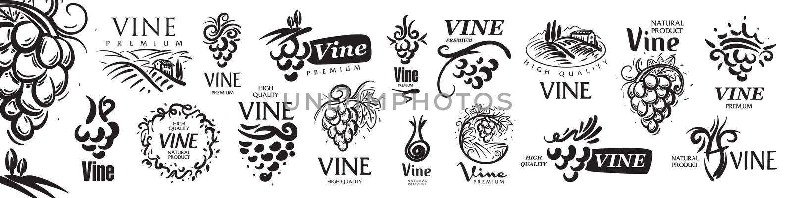 Vector set of hand drawn logos for wine by butenkow