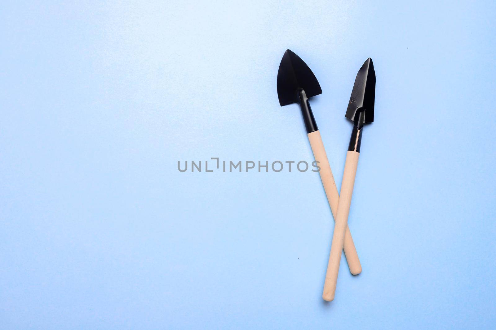 Garden shovels on a blue background . Gardening layout. Spring planting. The care of plants. Work in the ground. blue background . Copy space.