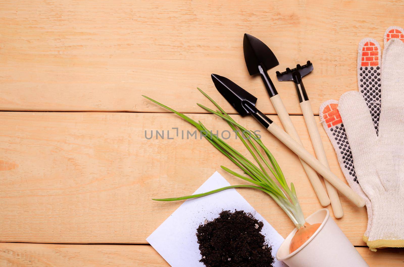 Garden shovels on a wooden background .Gardening layout. Plant care. Planting plants. Homemade flowers. Garden flowers and plants. Preparation for the summer season. Planting seedlings. Copy space.