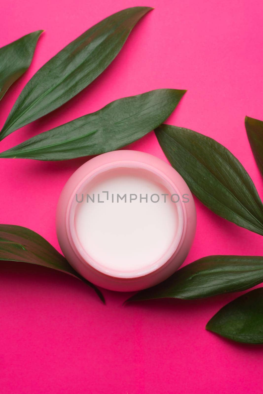 Face cream and green leaves . Cosmetology. Facial skin care. Pink background. Article about the selection of the cream . Spa treatments. Acne. Smooth and clean skin. Skin nutrition. Copy space by alenka2194