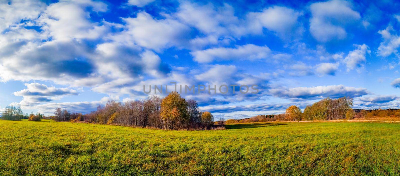 Panorama landscape of autumn . Beautiful scenery. The colors of autumn. Orange trees. New season. Nature