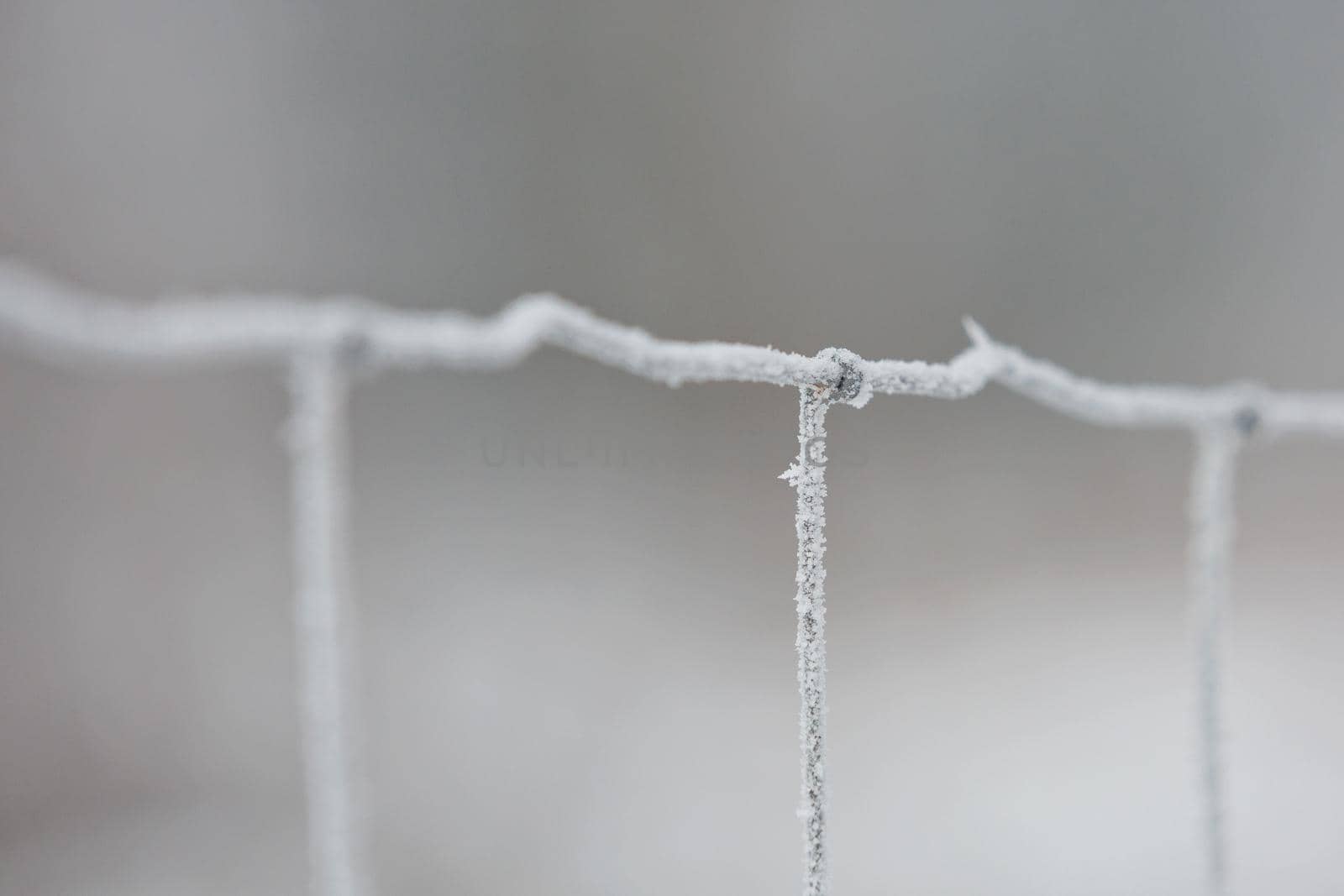 Frost on the iron grid macro. Beautiful winter concept background. Close-up of a frozen iron fence by wondry