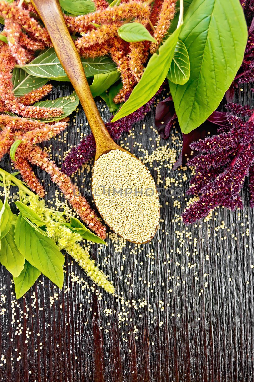 Amaranth groats in a spoon, red, burgundy and green inflorescences with leaves on the background of a wooden board from above