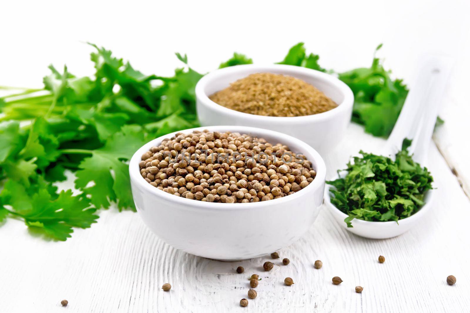 Coriander ground and seeds in bowls on light board by rezkrr
