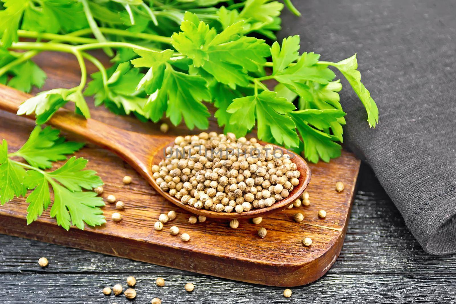 Coriander seeds in a spoon, green fresh cilantro and a napkin on black wooden board background