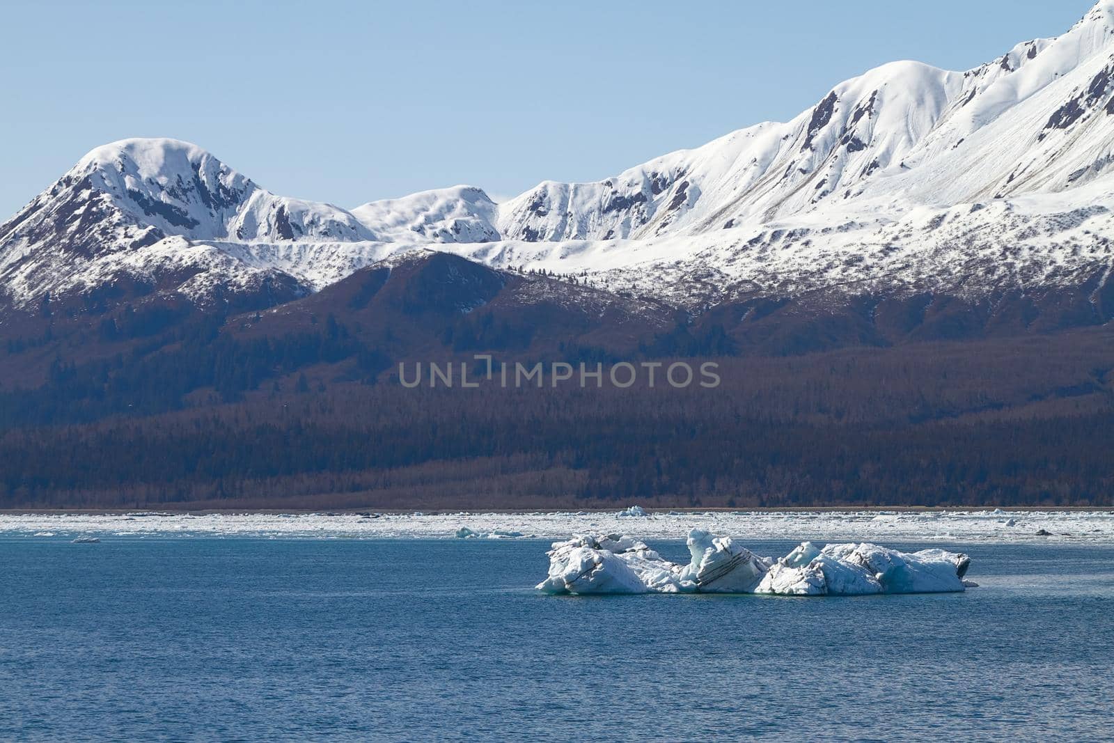 Iceberg Floating in Sea Close to Hubbard Glacier in Alaska by wondry