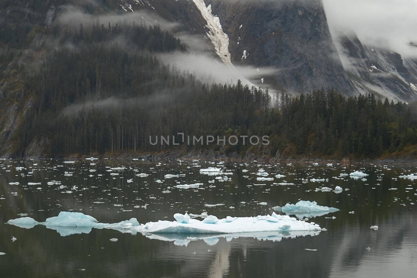 Landscape at Tracy Arm Fjords in Alaska United States by wondry