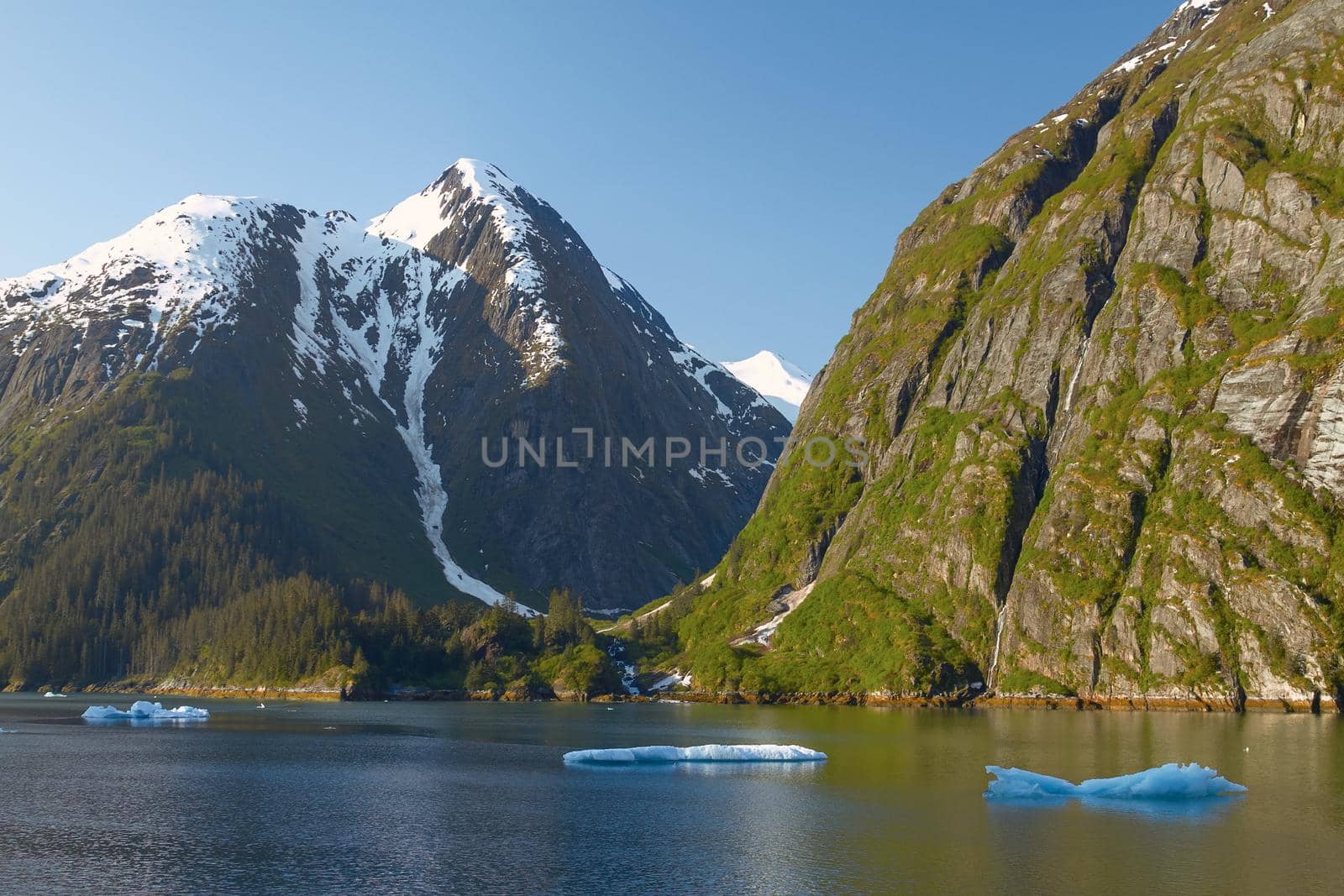 Landscape at Tracy Arm Fjords in Alaska United States by wondry
