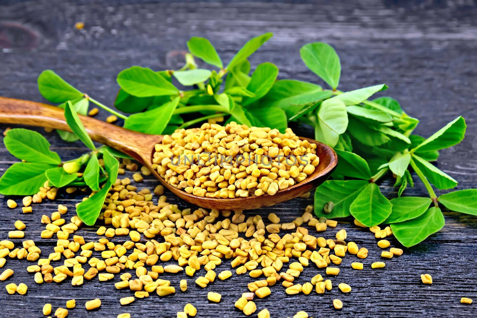 Fenugreek seeds in a spoon and on a table with green leaves against a black wooden board