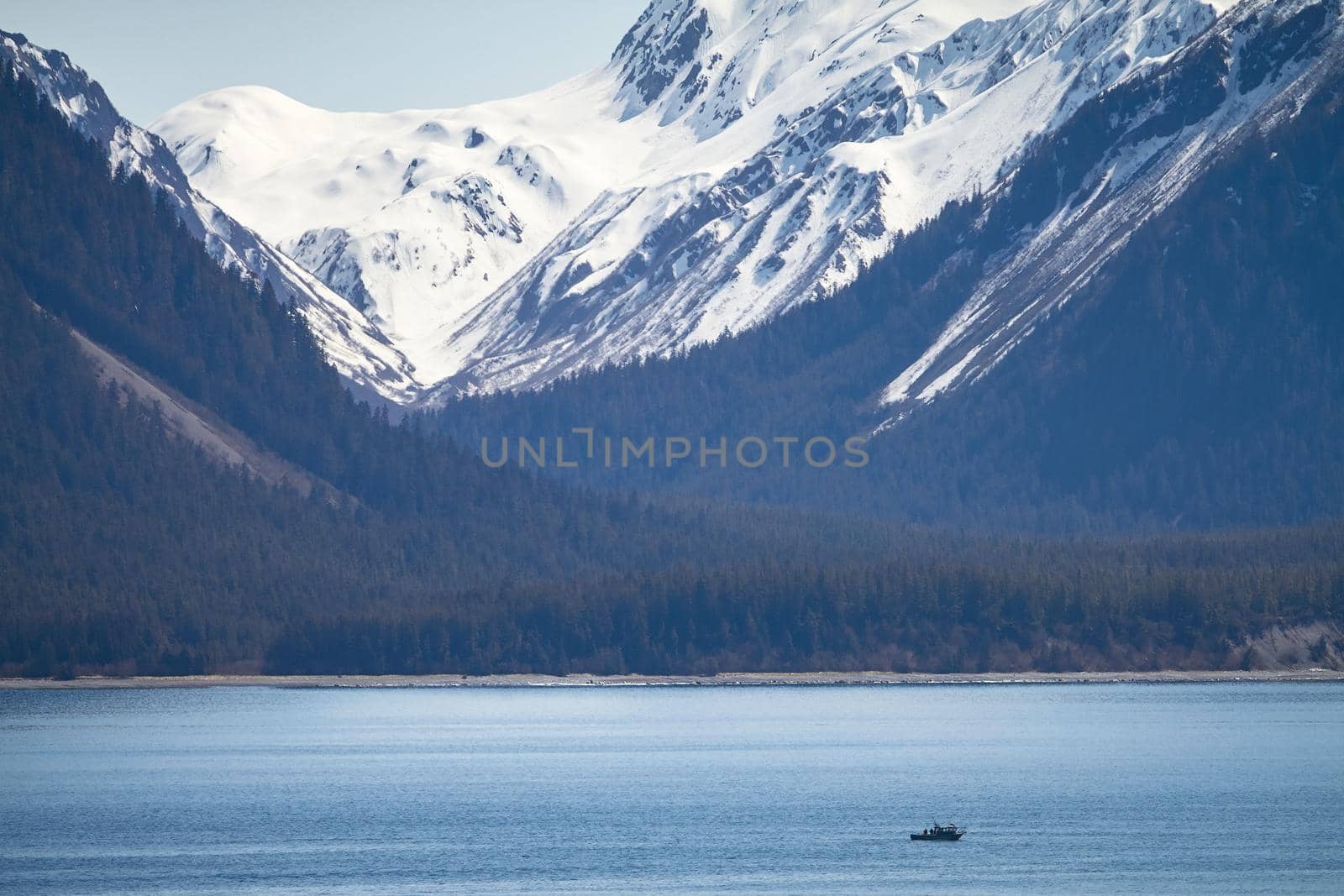 Small Ship within Great Alaskan Wilderness.