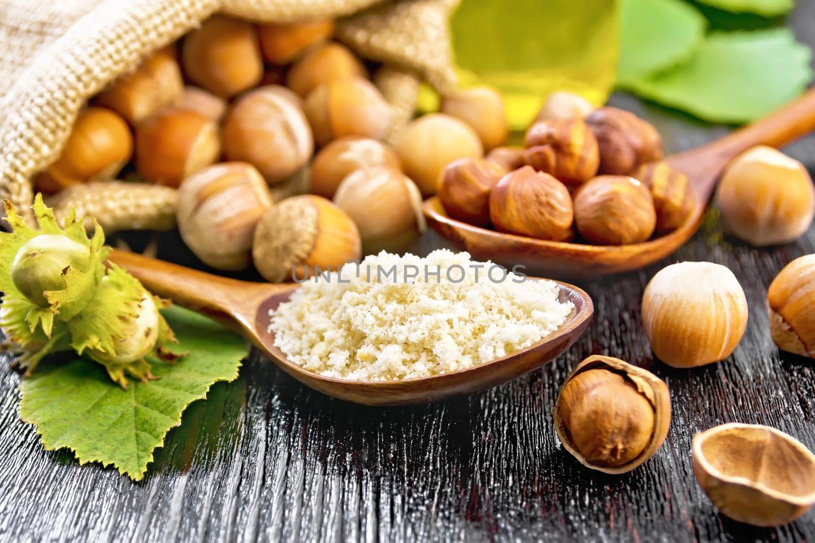 Hazelnut flour in a spoon, nuts in a bag, spoon and on the table, oil in glass jar and filbert branch with green leaves on dark wooden board background