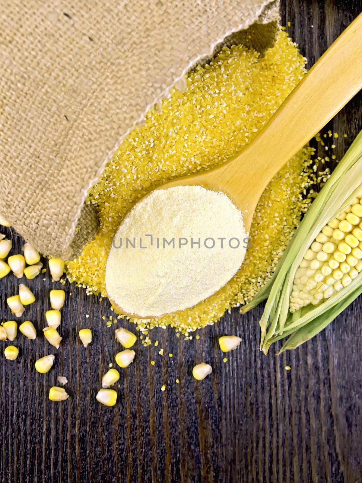 Flour corn in a spoon, cereal in sackcloth and on the table, the cob on the background of the wooden boards on top