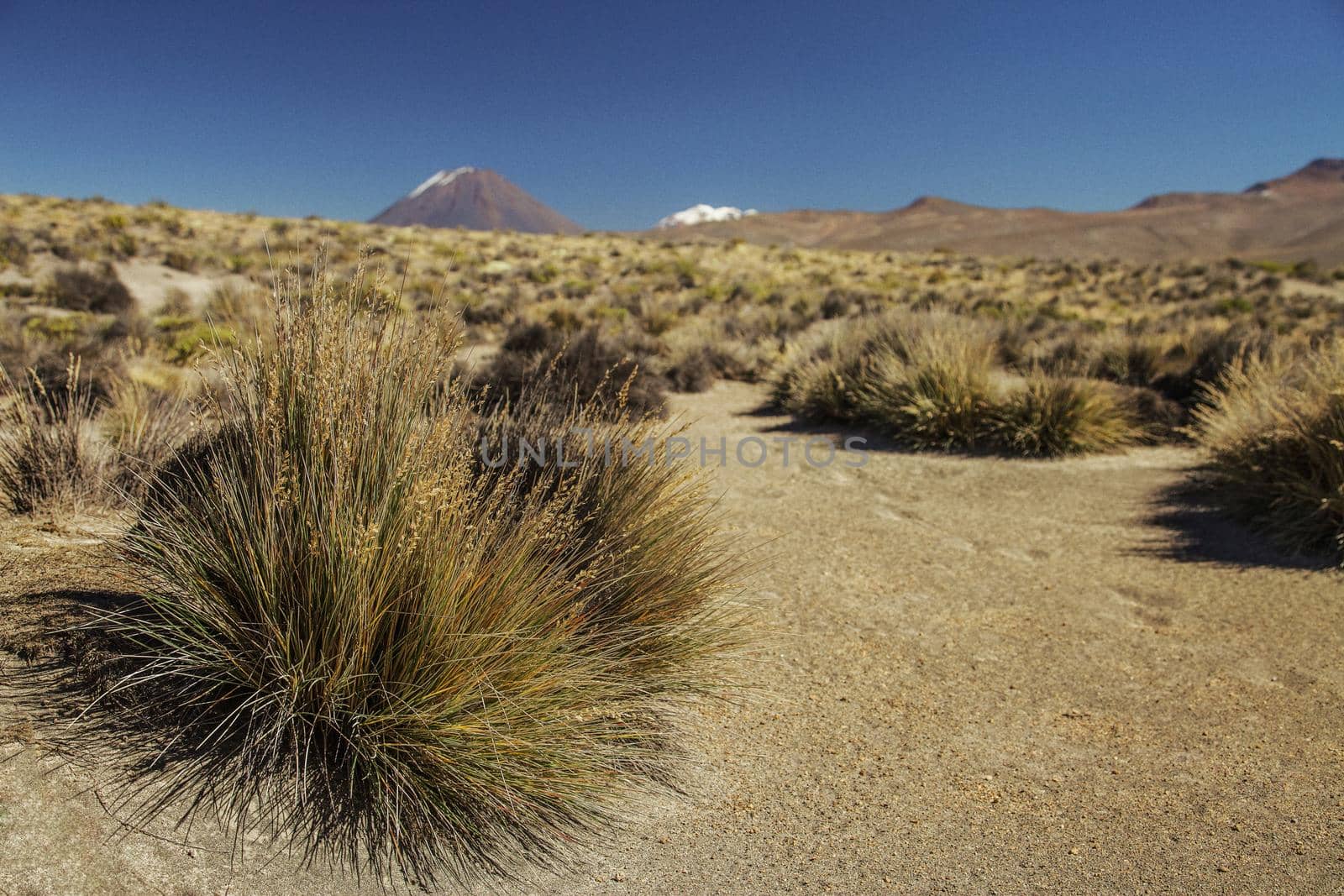 Hike to active volcano Misti, Arequipa, Peru by wondry