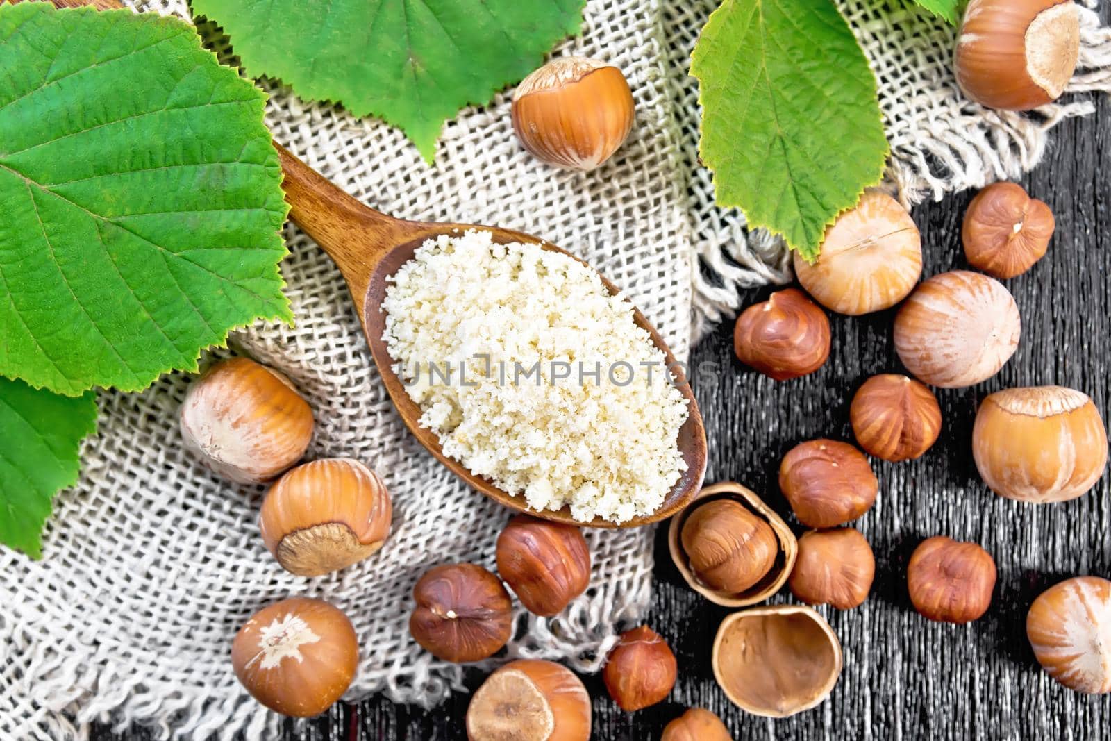 Hazelnut flour in a spoon and nuts on sacking, filbert branch with green leaves on wooden board background from above