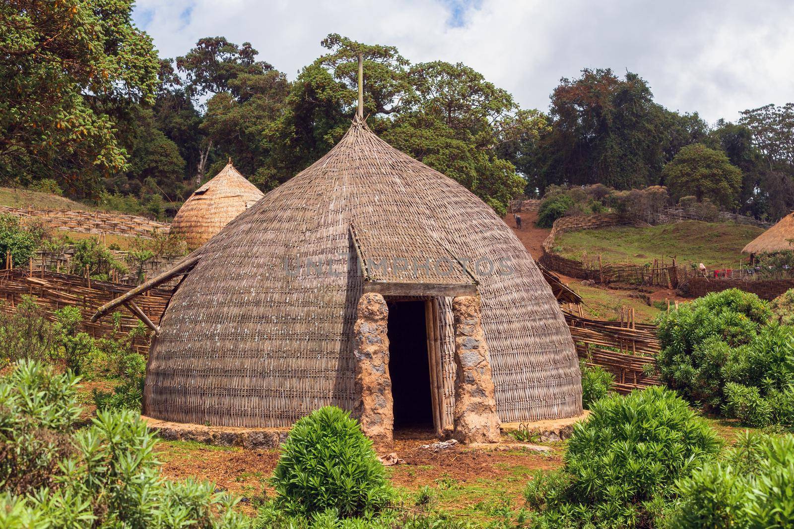 Beautiful architecture with traditional ethiopian houses, Bale Mountain Ethiopia, Africa.