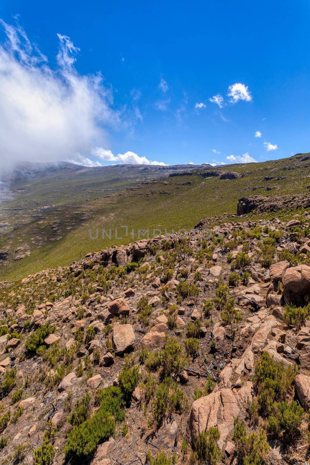 Ethiopian Bale Mountains National Park landscape. Ethiopia wilderness pure nature. Sunny day with blue sky and mist.