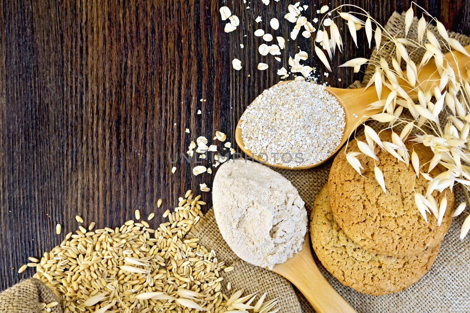 Flour and bran oaten in a spoons, stalks of oats, grits and biscuits on a background sacking on a wooden board