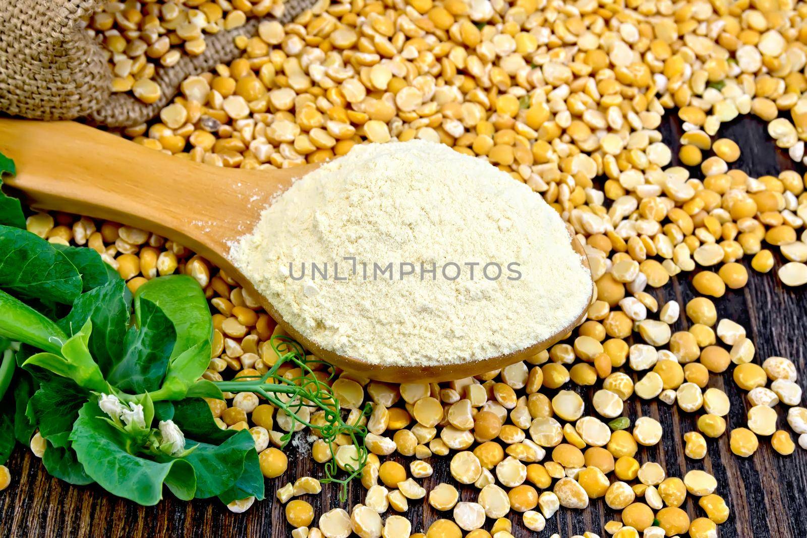 Flour pea in a spoon, fresh pods and split pease on a dark wooden boards background
