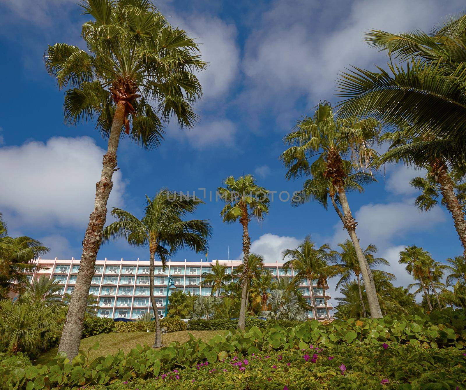 Hotel Resort in Dream Destination of Nassau, Bahamas.