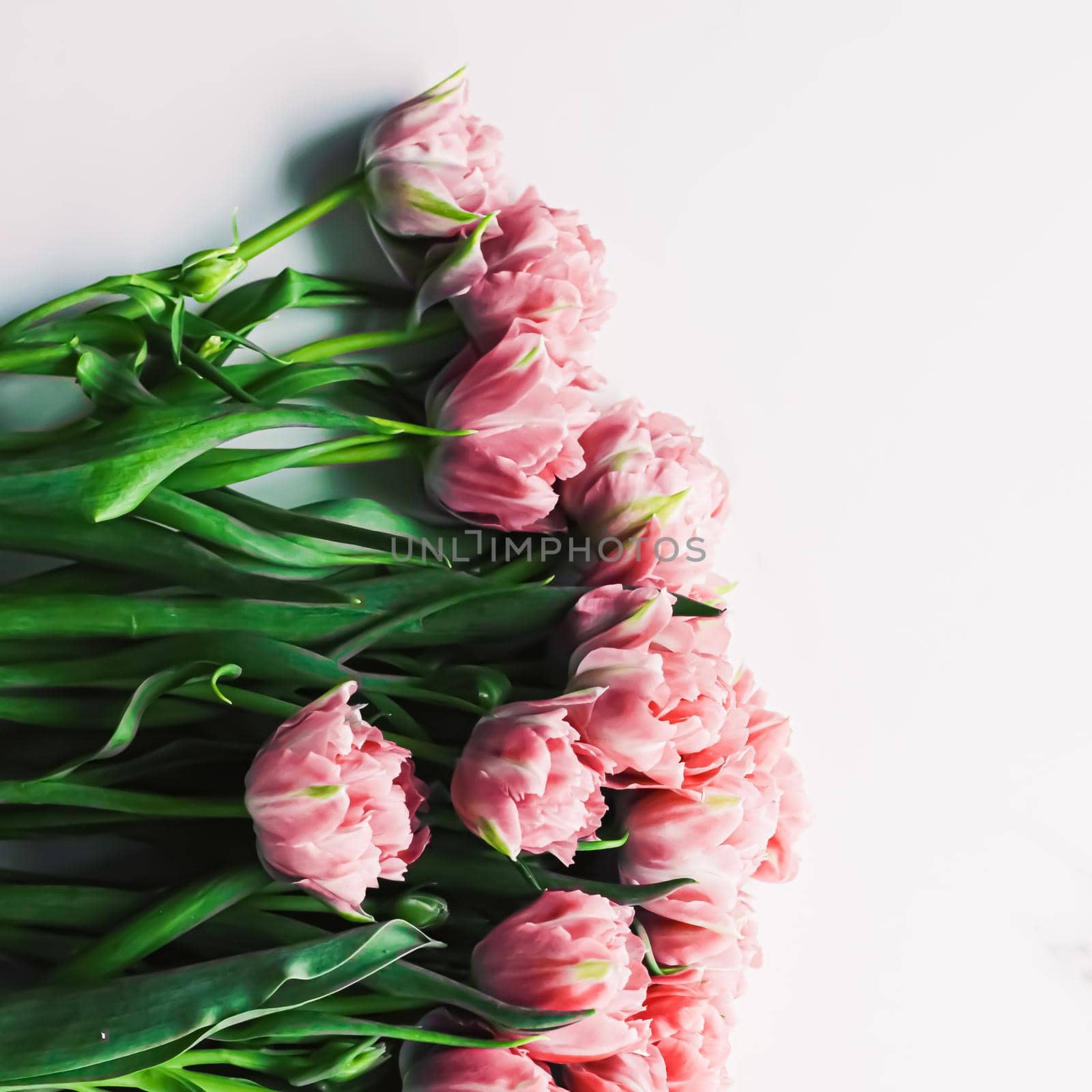 Spring flowers on marble background as holiday gift, greeting card and floral flatlay concept